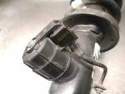 Stoßdämpfer Rechts Hinten 37106896442 BMW X6 (G06) SUV xDrive 40d Mild Hybrid 3.0 24V (B57-D30B)