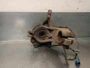 Achsschenkel Halter Links Vorne 364691 Peugeot 207/207+ (WA/WC/WM) Schrägheck 1.4 (TU3A(KFV))