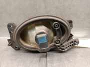 Nebelscheinwerfer Links Vorne A1698201556 Mercedes-Benz ML II (164/4JG) SUV 3.0 ML-320 CDI 4-Matic V6 24V (OM642.940)