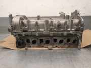 Zylinderkopf 55231550 Fiat Fiorino (225) Van 1.3 JTD 16V Multijet (199.A.9000)