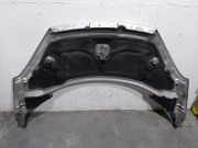 Motorhaube 7901N4 Peugeot 807 Großraumlimousine 2.0 16V (EW10A(RFJ))