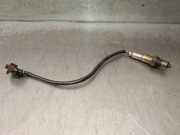Lambdasonde 6PA35806612 Opel Corsa C (F08/68) SchrÃ¤gheck 1.2 16V Twin Port (Z12XEP)