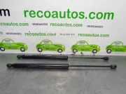 Gasdruckfedern Set Hinten A1699800864 Mercedes-Benz CLASE B Sports Tourer (W245) B 180 CDI (245.207)