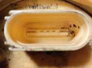 Tankschwimmer 6RA919050 Seat Toledo (NHAA) Liftback 1.6 TDI 16V 115 (CXMA)