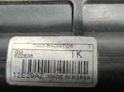 Radiator 95939915 Daewoo / Chevrolet Aveo Schrägheck 1.3 JTD Multijet 16V (A13DTC)