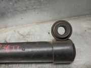 Stoßdämpfer Rechts Hinten 725836 Seat TERRA 0.9