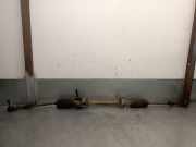 Lenkgetriebe 7700807517 Renault Clio (B/C57/357/557/577) Schrägheck 1.2i (C3G-720)