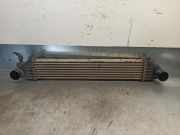 Ladeluftkühler 30741631 Volvo C30 (EK/MK) Schrägheck 3-drs 2.4 D5 20V Geartronic (D5244T8)