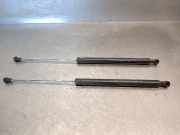 Gasdruckfedern Set Hinten 8200000902B Renault II (BG0) 1.9 dCi Diesel FAP