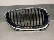Grill 51137027062 BMW 5 serie (E60) Limousine 530i 24V (M54-B30(306S3))