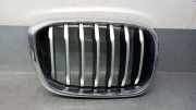 Grill 51137478670 BMW X3 (G01) SUV xDrive 20d 2.0 TwinPower 16V Mild Hybrid (B47-D20B)
