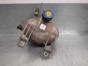 Ausgleichbehälter - - 55700508 Fiat Punto Evo (199) Schrägheck 1.4 Natural Power (350.A.1000)