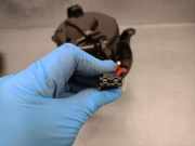 Heizlüfter 2Q1820021 Volkswagen Taigo SUV 1.0 TSI 110 12V (DLAA) DLAA