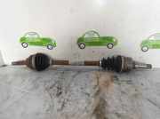 Stoßdämpfer Links Hinten 8200715148 Renault MASTER II PHASE 2 BUS 2.5 Diesel dCi FAP CAT