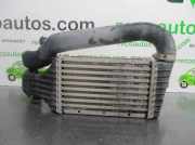 Ladeluftkühler 24436438 Opel Astra G (F08/48) Schrägheck 2.0 DTi 16V (Y20DTH)