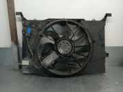 Kühlerventilator A1695002093 Mercedes-Benz A (W169) Schrägheck 2.0 A-180 CDI 16_V (OM640.940)