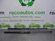 Gasdruckfedern Set Hinten 904501KA2B Nissan (F15) 1.5 dCi