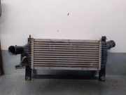 Ladeluftkühler 14461EB70A Nissan NP300 (D40) 2.5 dCi
