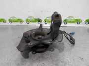 Achsschenkel Halter Links Vorne RUB101930 Rover (RJ) 2.5 V6
