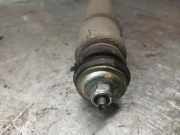 Stoßstange Vorne GRIS Ford ORION 1.6 16V CAT