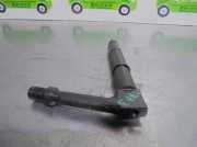 Kraftstoff-Injector 484391 Nissan ALMERA (N16/E) 2.2 16V Turbodiesel CAT