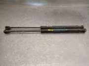 Gasdruckfedern Set Hinten 46784994 Fiat Stilo (192A/B) Schrägheck 1.9 JTD 115 5-Drs. (192.A.1000)