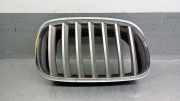 Grill 51137185224 BMW (E71, E72) xDrive 35 d