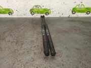 Gasdruckfedern Set Hinten 46744596 Fiat (188_) 1.2 16V 80 (188.233, .235, .253, .255, .333, .353, .639,...