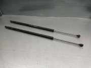 Gasdruckfedern Set Hinten 8200021974 Renault IV (JK0/1_) 2.2 dCi (JK0H)