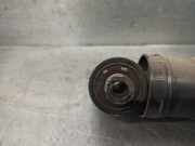 Stoßdämpfer Rechts Hinten 423093JP Renault MEGANE II BERLINA 3P 1.9 dCi Diesel