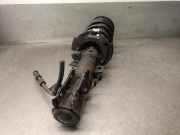 Sto?d?mpfer Links Vorne H1BC18K001AC Ford Fiesta 7 Schr?gheck 1.1 Ti-VCT 12V 85 (XYJC)