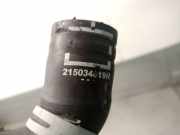 Schlauch 215034819R Renault SCÃ‰NIC IV (J9_) 1.5 dCi 110