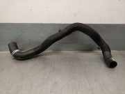 Schlauch 215015627R Renault GRAND SC?NIC IV (R9_) 1.3 TCe 140