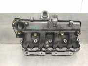 Ansaugkrümmer 55231287 Fiat Fiorino (225) Van 1.3 JTD 16V Multijet (199.A.9000)