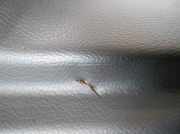 Türgriff Außen Links Vorne 1476388077 Citroën Evasion Großraumlimousine 1.9 Turbo D X,SX (XUD9TF-L(D8B))