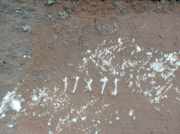 Start/stop Schalter 8K1927325 Audi BER. (B8) 2.0 16V TDI