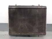 Radiator 1330G9 Peugeot 307 CC (S1) 2.0 16V CAT