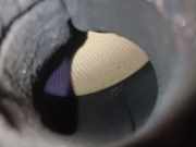 Katalysator 8201030945 Renault Kangoo Express (FW) Van 1.5 dCi 70 (K9K-840)