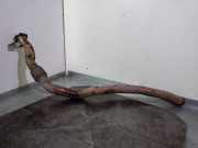 Uitlaat Rohr Vorne 4G0254350B Audi C7 Avant (4G5, 4GD) 3.0 TDI quattro