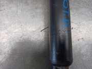 Stoßdämpfer Rechts Hinten 4853002N10 Toyota Corolla (E21) Limousine 1.8 VVTi 16V Hybrid (2ZRFXE)