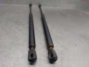 Gasdruckfedern Set Hinten A2047400145 Mercedes-Benz C Estate (S204) Kombi 3.0 C-320 CDI V6 24V (OM642.960)