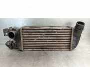 LadeluftkÃ¼hler 9S519L440AA Fiat 500 (312) SchrÃ¤gheck 1.3 MJTD 16V (169.A.1000)