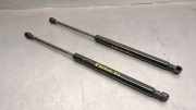 Gasdruckfedern Set Hinten 81771G2000 Hyundai Ioniq Liftback 1.6 GDI 16V Hybrid (G4LE)