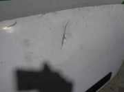 Motorhaube 1742622 Ford Transit RWD Van 2.4 TDCi 16V (JXFA)