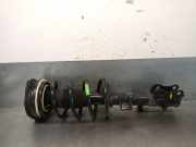 Stoßdämpfer Rechts Vorne 54302BJ00A Nissan NV 200 (M20M) Van 1.5 dCi 90 (K9K)