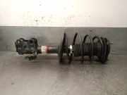 Kotflügel Links Vorne 631011470R Renault Megane III Coupe (DZ) Schrägheck 3-drs 1.9 dCi (F9Q-872(F9Q-P8))