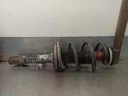 Stoßdämpfer Rechts Vorne 6C1118045UF Ford Transit RWD Van 2.4 TDCi 16V (JXFA)