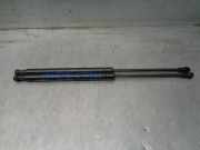 Gasdruckfedern Set Hinten Toyota Auris (E18) Schrägheck 5-drs 1.3 VVT-I 16V (1NRFE)