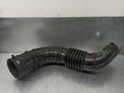 Schlauch 8200500384B Nissan +2 (JJ10) 1.5 dCi Turbodiesel CAT