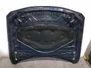 Motorhaube 41007290944 BMW 3 serie Touring (F31) Kombi 320d 2.0 16V (N47-D20C)
